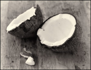 The Twenty first century house-slaves: Black Coconuts!