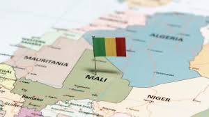 The stakes of the Referendum on a New Malian constitution