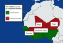 The Cirsis in Niger