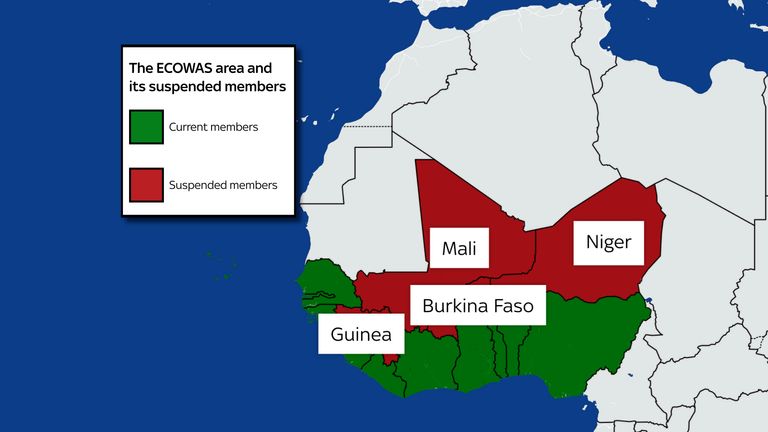The Cirsis in Niger